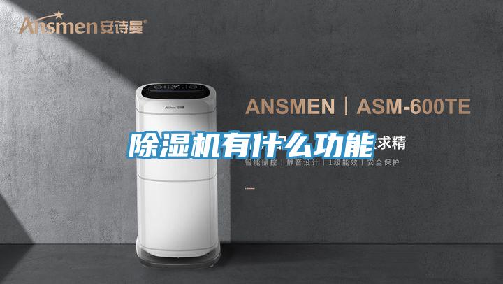 91免费网站在线观看有什么功能