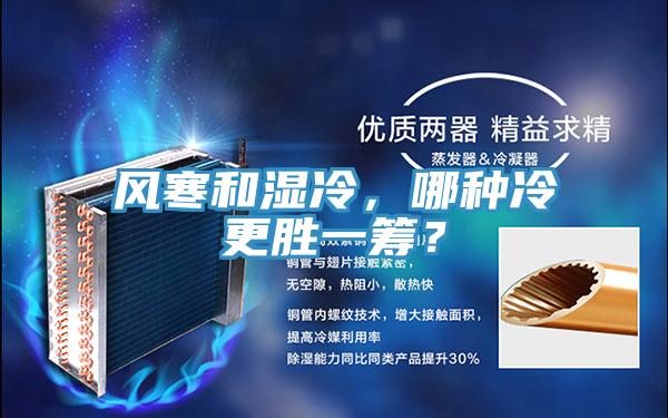 风寒和湿冷，哪种冷更胜一筹？