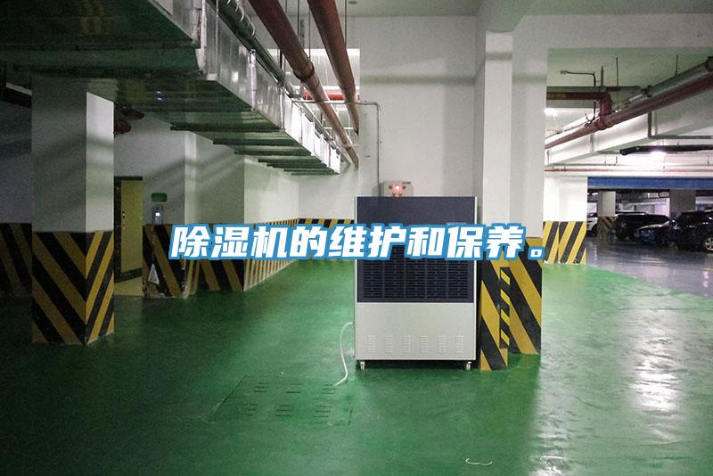 91免费网站在线观看的维护和保养。