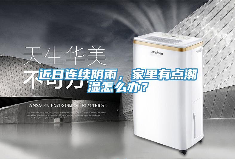 近日连续阴雨，家里有点潮湿怎么办？