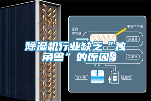 91免费网站在线观看行业缺乏“独角兽”的原因