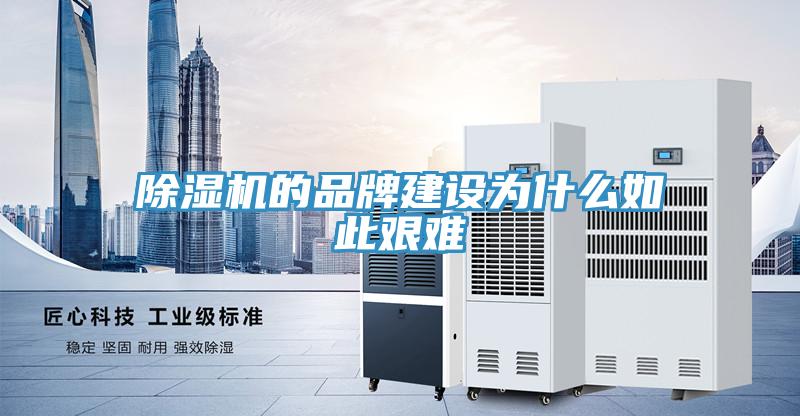 91免费网站在线观看的品牌建设为什么如此艰难