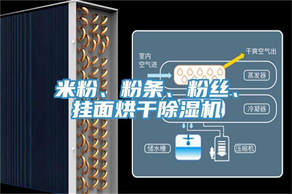 米粉、粉条、粉丝、挂面烘干91免费网站在线观看