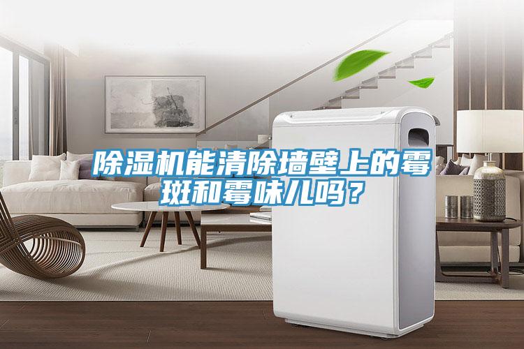 91免费网站在线观看能清除墙壁上的霉斑和霉味儿吗？