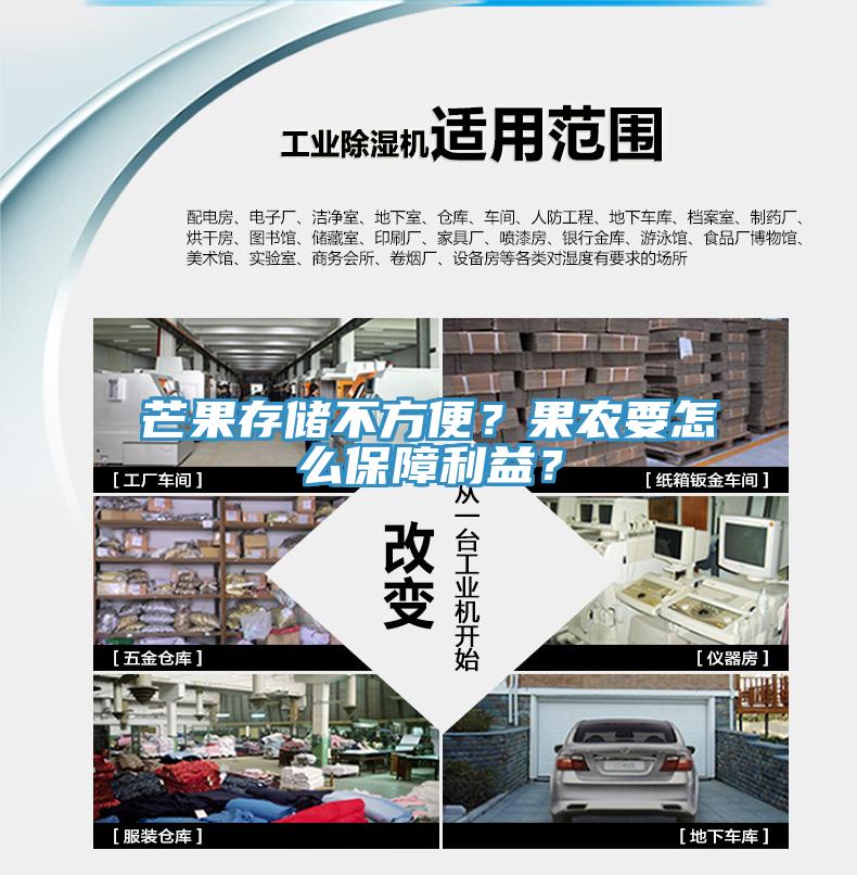 芒果存储不方便？果农要怎么保障利益？