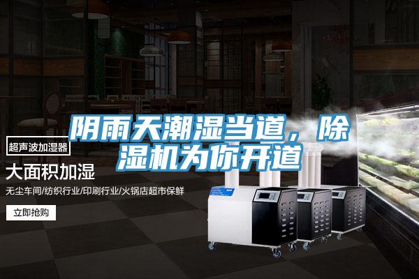 阴雨天潮湿当道，91免费网站在线观看为你开道