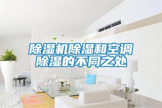 91免费网站在线观看除湿和空调除湿的不同之处