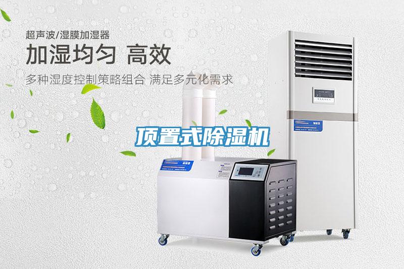 顶置式91免费网站在线观看