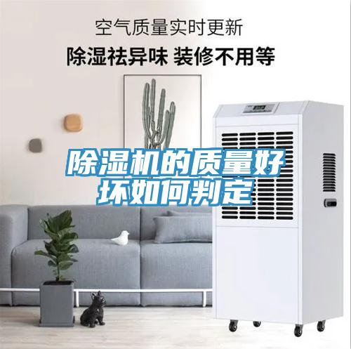 91免费网站在线观看的质量好坏如何判定