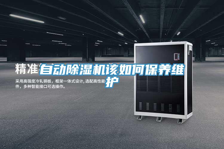 自动91免费网站在线观看该如何保养维护