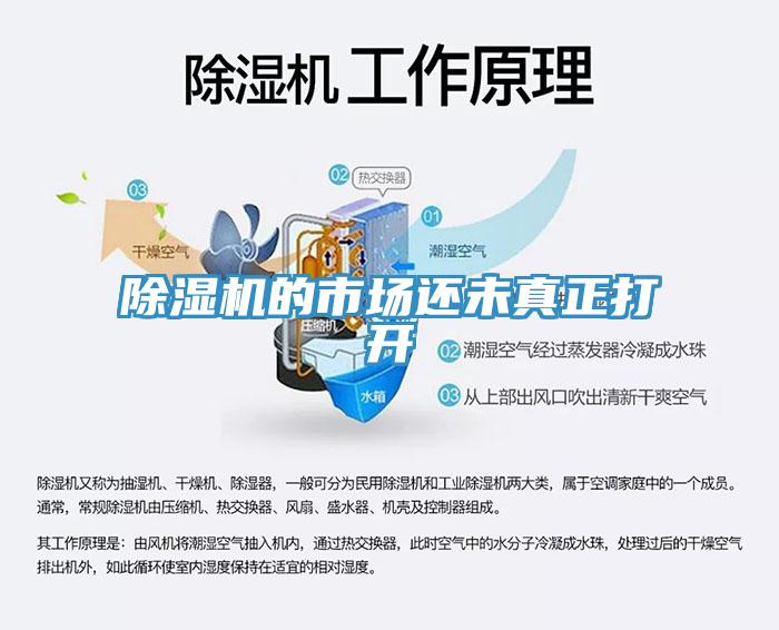 91免费网站在线观看的市场还未真正打开