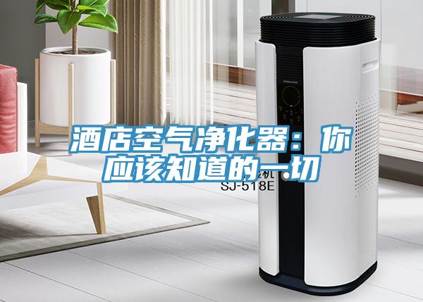 酒店空气净化器：你应该知道的一切