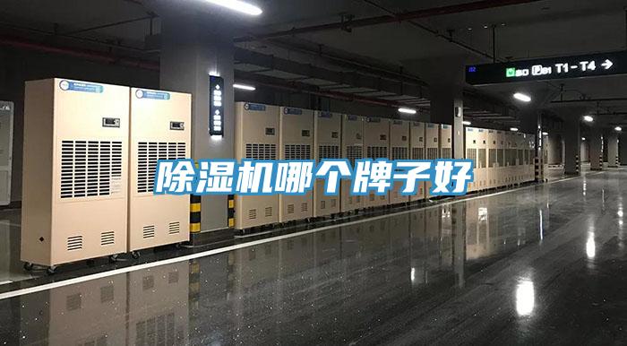 91免费网站在线观看哪个牌子好