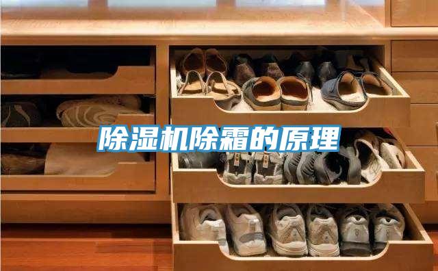 91免费网站在线观看除霜的原理