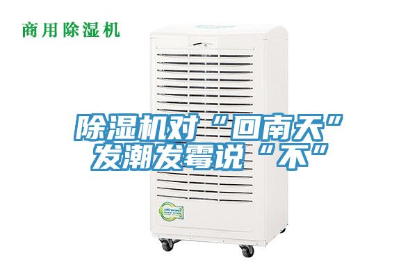 91免费网站在线观看对“回南天”发潮发霉说“不”
