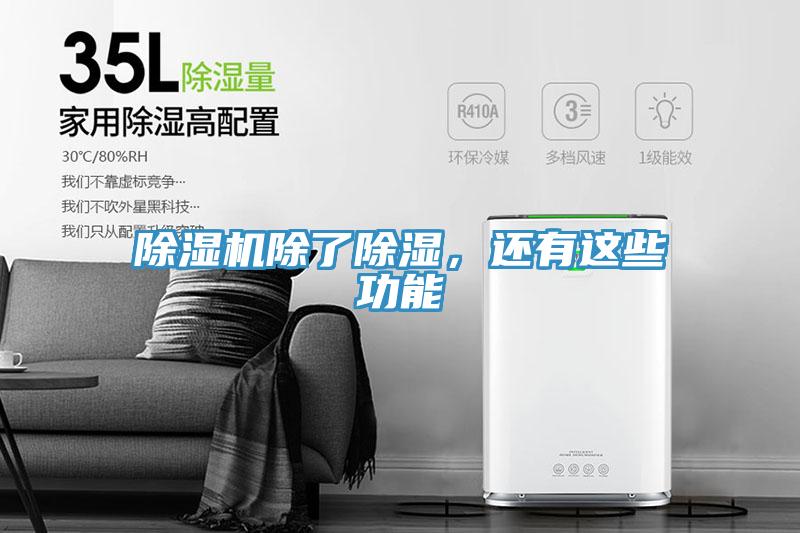 91免费网站在线观看除了除湿，还有这些功能