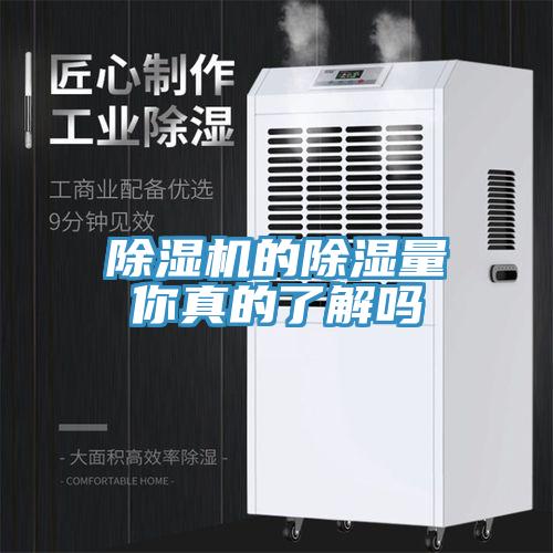 91免费网站在线观看的除湿量你真的了解吗