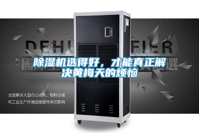 91免费网站在线观看选得好，才能真正解决黄梅天的烦恼