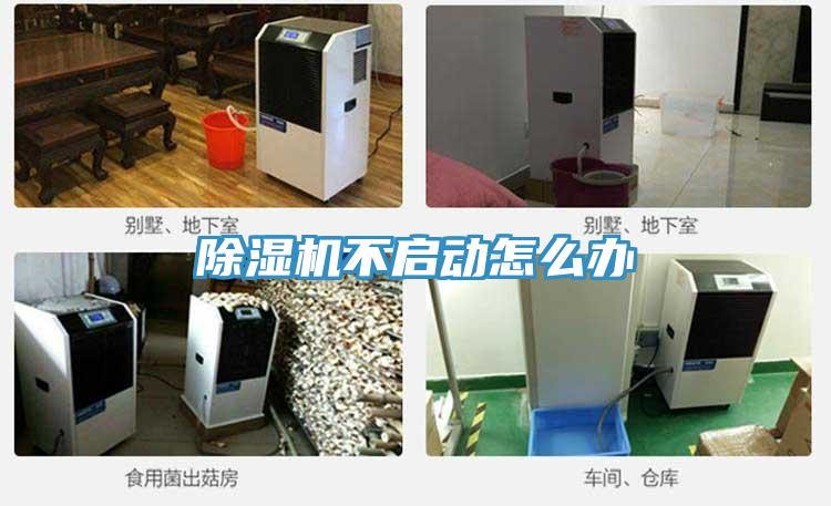 91免费网站在线观看不启动怎么办