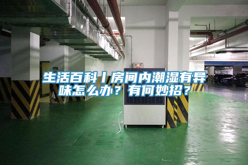 生活百科丨房间内潮湿有异味怎么办？有何妙招？