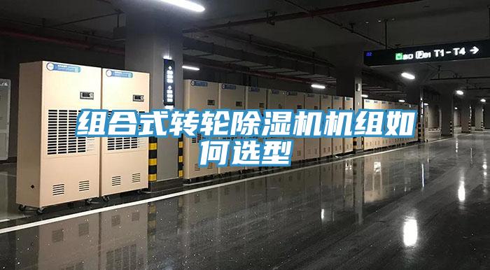 组合式转轮91免费网站在线观看机组如何选型