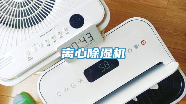 离心91免费网站在线观看