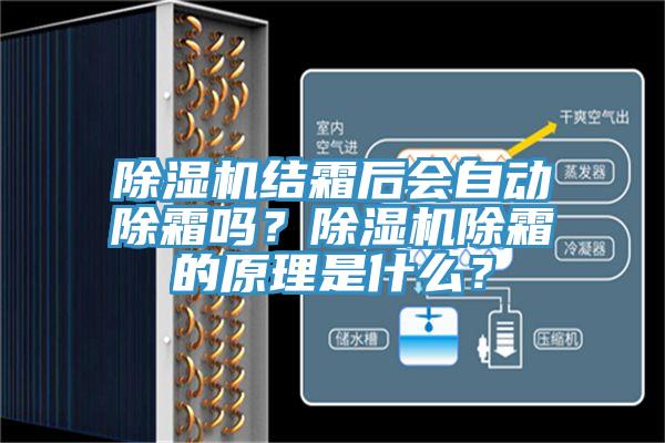 91免费网站在线观看结霜后会自动除霜吗？91免费网站在线观看除霜的原理是什么？
