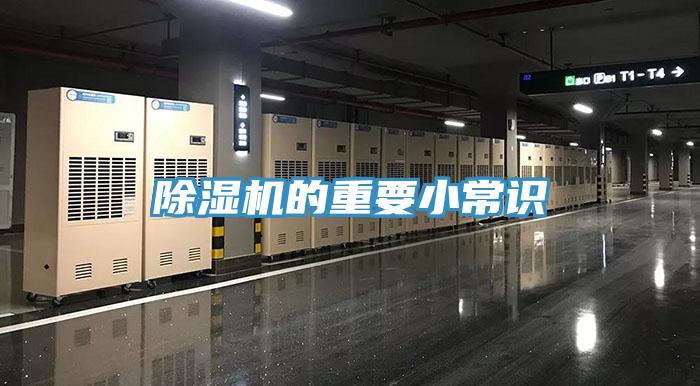 91免费网站在线观看的重要小常识