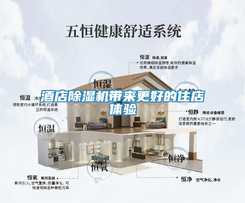 酒店91免费网站在线观看带来更好的住店体验