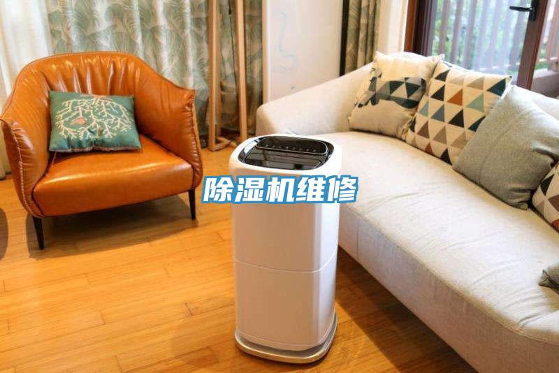 91免费网站在线观看维修