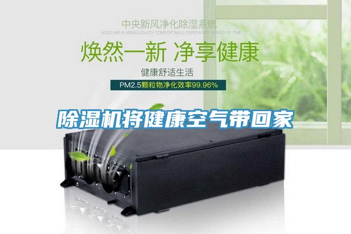 91免费网站在线观看将健康空气带回家