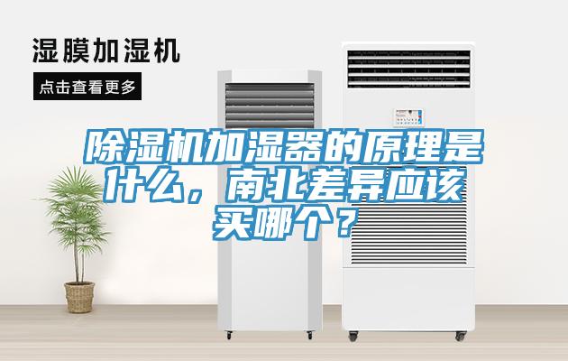91免费网站在线观看加湿器的原理是什么，南北差异应该买哪个？