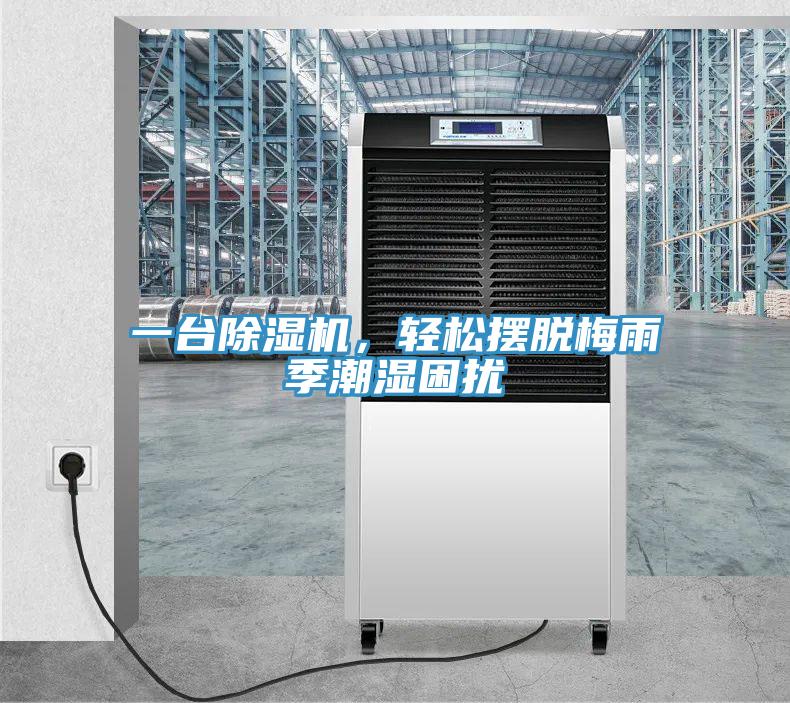 一台91免费网站在线观看，轻松摆脱梅雨季潮湿困扰