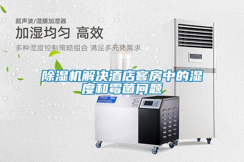91免费网站在线观看解决酒店客房中的湿度和霉菌问题