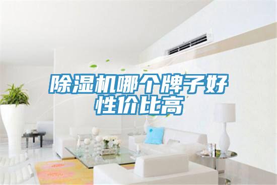 91免费网站在线观看哪个牌子好性价比高