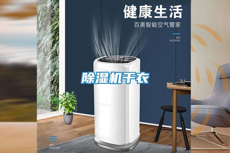 91免费网站在线观看干衣