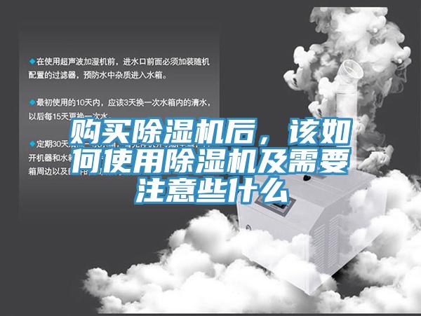 购买91免费网站在线观看后，该如何使用91免费网站在线观看及需要注意些什么