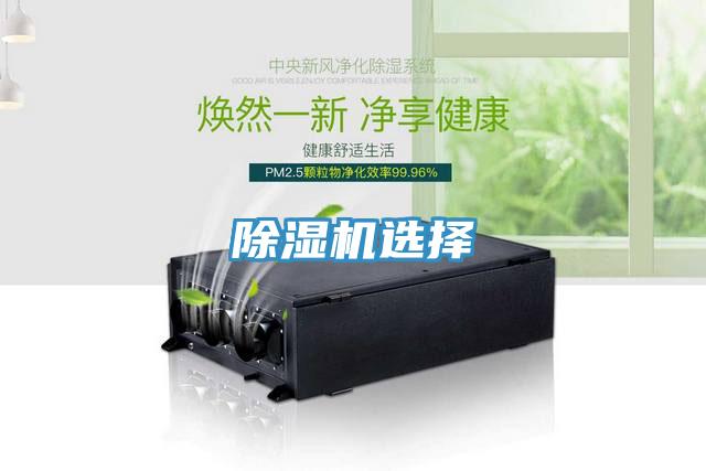 91免费网站在线观看选择