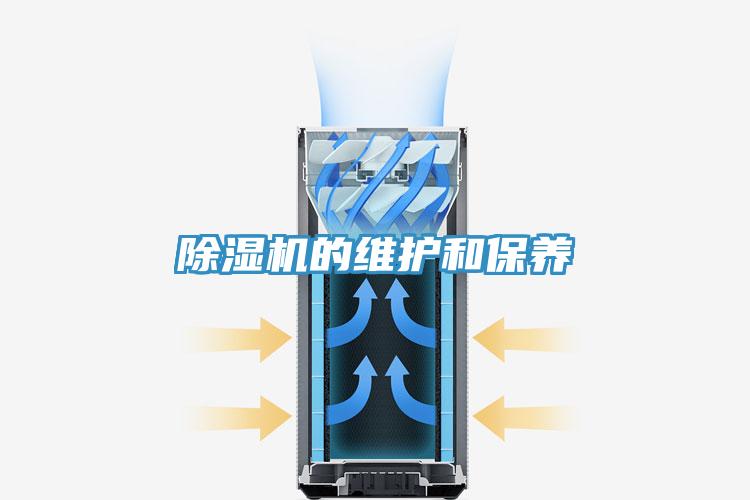 91免费网站在线观看的维护和保养