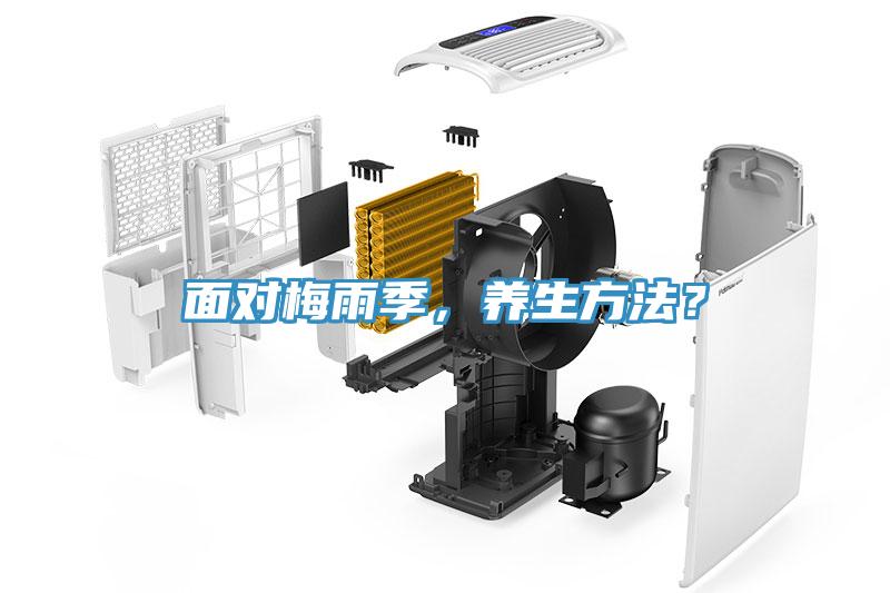 面对梅雨季，养生方法？