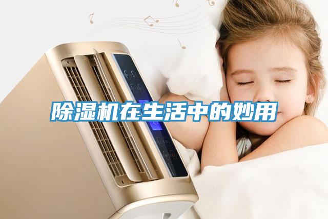 91免费网站在线观看在生活中的妙用