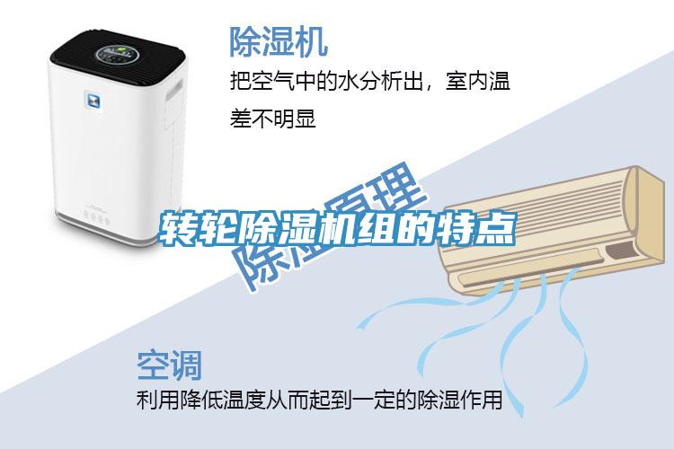转轮91免费网站在线观看组的特点