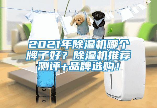 2021年91免费网站在线观看哪个牌子好？91免费网站在线观看推荐测评+品牌选购！