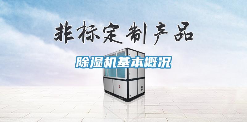 91免费网站在线观看基本概况