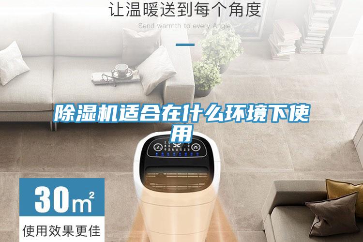 91免费网站在线观看适合在什么环境下使用