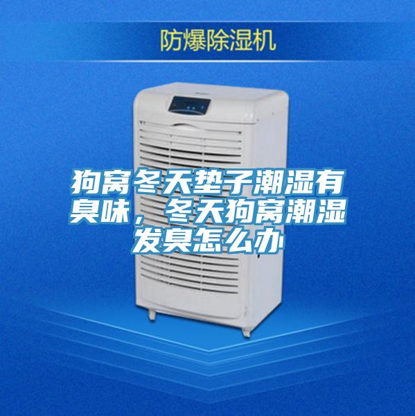 狗窝冬天垫子潮湿有臭味，冬天狗窝潮湿发臭怎么办