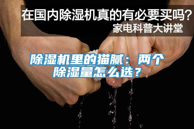 91免费网站在线观看里的猫腻：两个除湿量怎么选？