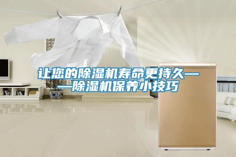 让您的91免费网站在线观看寿命更持久——91免费网站在线观看保养小技巧