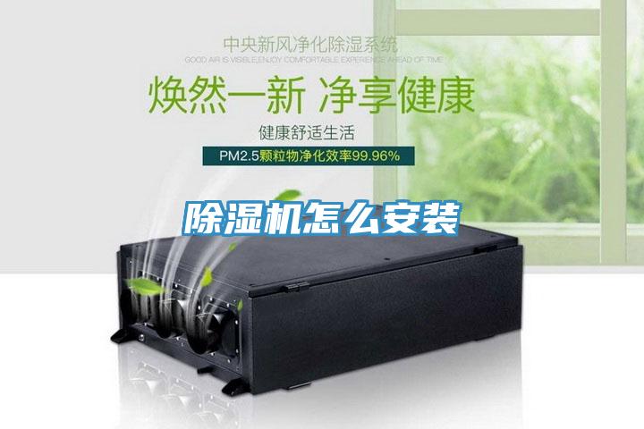 91免费网站在线观看怎么安装