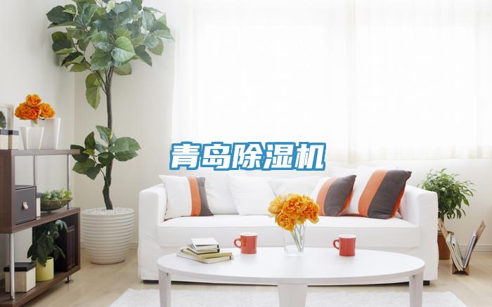 青岛91免费网站在线观看